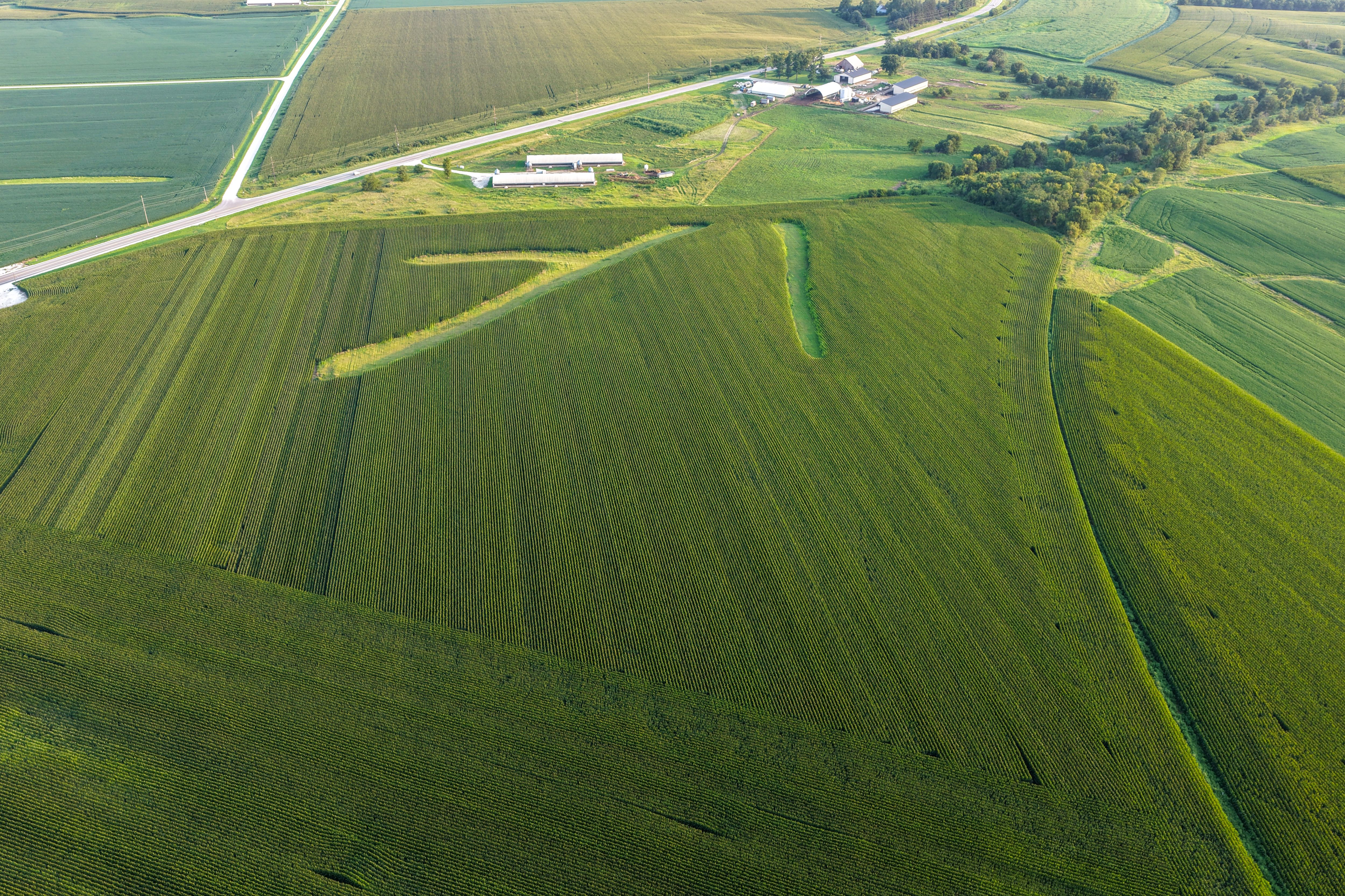 Listing Photo: Land Auction Washington County Iowa-23